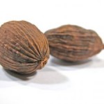 note-nutmeg-360021-m