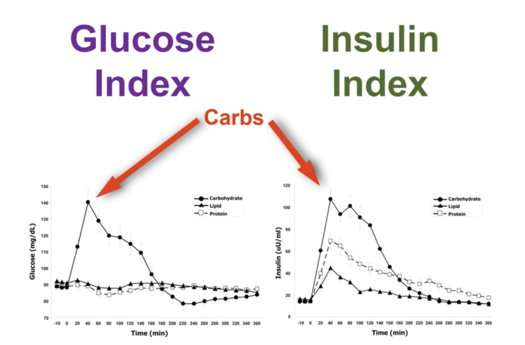 Glucose Index vs. Insulin Index